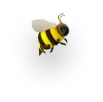 bee