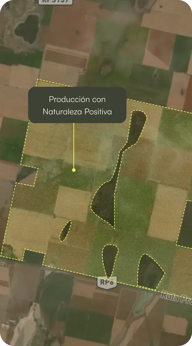 production map 