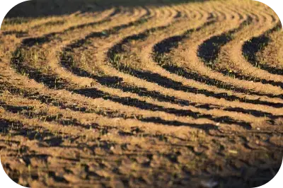 sand texture