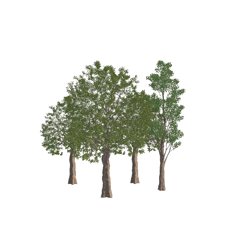 trees