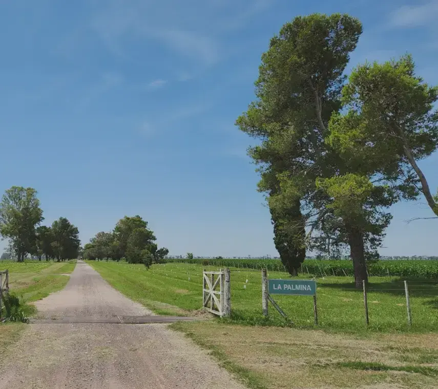 la palmina entrance