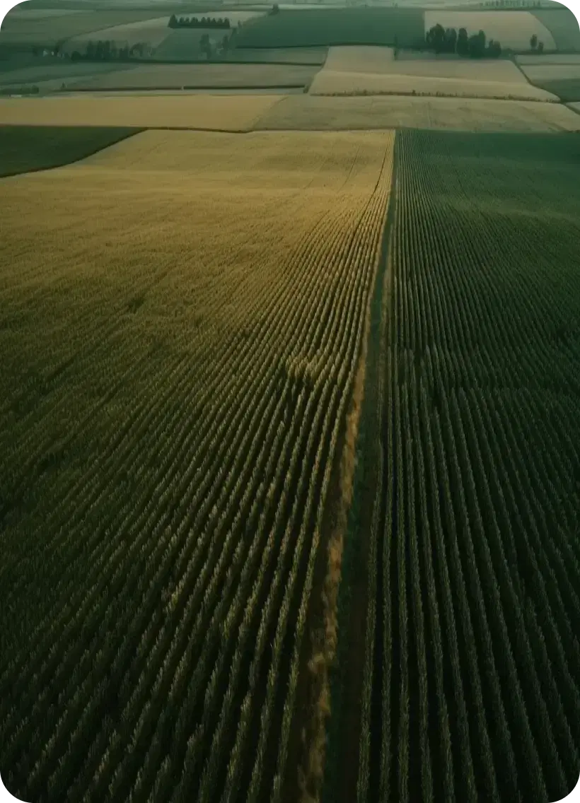 aerial shot of farm land