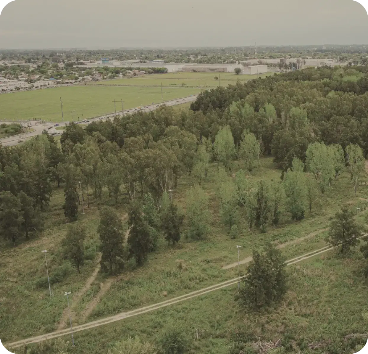 panoramic view of land