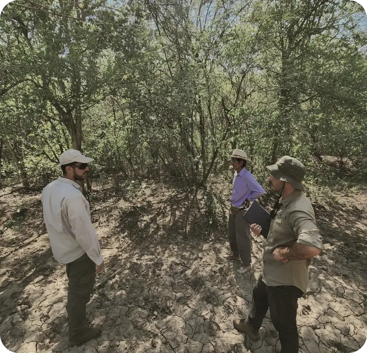 nativas team working on the field
