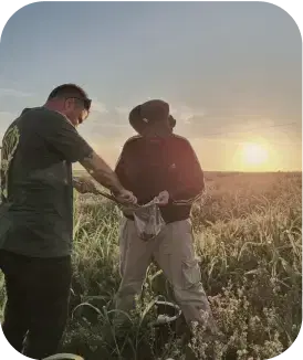 nativas workers planting plants
