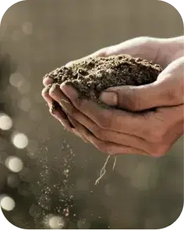hand holding soil